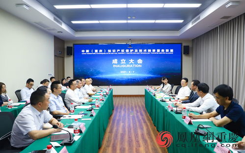 中新重慶知識產(chǎn)權(quán)保護及技術(shù)轉(zhuǎn)移服務(wù)聯(lián)盟成立，為兩地創(chuàng)新合作搭建新通道